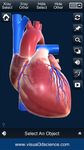 Imagem 4 do My Heart Anatomy