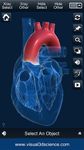 Imagem 3 do My Heart Anatomy