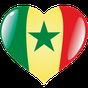 Senegal Radio Stations 아이콘