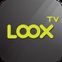 Иконка LOOX TV : ดูสด-ย้อนหลังช่องทีวีไทย