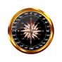 Compass - Directions on Maps icon