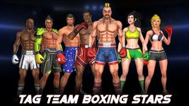 World Tag Team Super Punch Boxing Star Champion 3D στιγμιότυπο apk 3