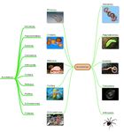 miMind Free Mind Mapping の画像8