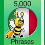 Εικονίδιο του Learn Italian Phrasebook - 5000 Phrases