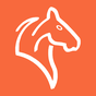 Ikona Equilab - For equestrian riders, stables & horses