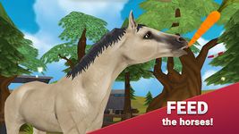 HorseHotel - Care for horses obrazek 14