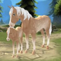 Biểu tượng Horse Paradise - My Dream Ranch