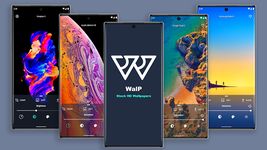 Wallp - Stock HD Wallpapers ekran görüntüsü APK 7