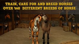 Imagem 9 do Horse Academy 3D