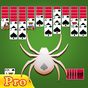 Spider Solitaire Pro icon