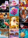 Jigsaw1000 - Jigsaw puzzles screenshot APK 11