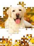 Screenshot 2 di Jigsaw1000 - Jigsaw puzzles apk