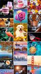 Screenshot 18 di Jigsaw1000 - Jigsaw puzzles apk