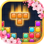 Block Puzzle – Jogo de blocos, jogo de blocos 2018 APK