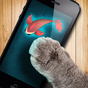 Fish game toy for cats apk icon