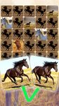 Paardenspel met mooie paarden afbeelding 2