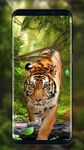 Картинка 3 Живые Обои Тигр