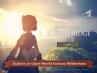 Tangkapan layar apk Nimian Legends : BrightRidge 1