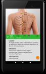 AcuPoint - Acupuncture imgesi 7