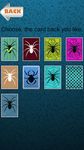 Картинка  Spider Solitaire