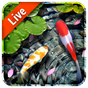 Koi Fish Live Wallpaper 3D APK