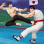 Biểu tượng Tag Team Karate chiến đấu hổ thế giới Kung Fu King