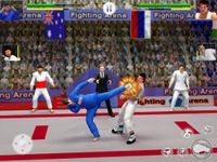 Tag Team Karate Fighting Tiger World Kung Fu König Screenshot APK 3