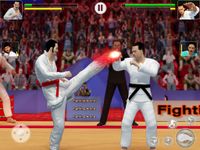 Tag Team Karate Walczący Tygrys świata KungFu Król zrzut z ekranu apk 12