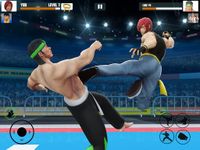 Tag Team Karate Walczący Tygrys świata KungFu Król zrzut z ekranu apk 13