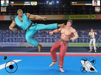 Tag Team Karate vechten Tiger World kung fu koning screenshot APK 14