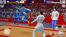 Tag Team Karate Walczący Tygrys świata KungFu Król zrzut z ekranu apk 22