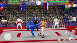 Tag Team Karate Walczący Tygrys świata KungFu Król zrzut z ekranu apk 8