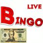 BINGO LIVE의 apk 아이콘