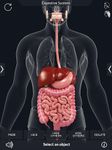 Captura de tela do apk Digestive System Anatomy 5