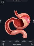 Скриншот  APK-версии Digestive System Anatomy