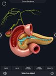 Captura de tela do apk Digestive System Anatomy 6