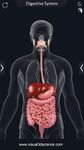 Captura de tela do apk Digestive System Anatomy 14