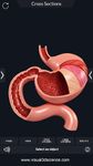 Captura de tela do apk Digestive System Anatomy 10