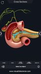 Captura de tela do apk Digestive System Anatomy 9