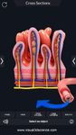 Captura de tela do apk Digestive System Anatomy 8