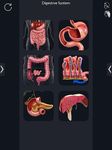 Скриншот 7 APK-версии Digestive System Anatomy