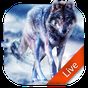 APK-иконка Живые Обои Волки 3d