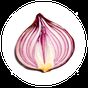 Onion Search Engine