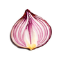 Icône de Moteur de recherche Onion