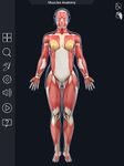 Скриншот 1 APK-версии My Muscle Anatomy