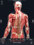My Muscle Anatomy ekran görüntüsü APK 6