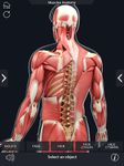 Скриншот 6 APK-версии My Muscle Anatomy