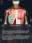 My Muscle Anatomy ekran görüntüsü APK 5