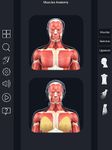 My Muscle Anatomy ekran görüntüsü APK 