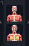 Скриншот 15 APK-версии My Muscle Anatomy